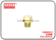 840999100 Oil Drain Plug For ISUZU VC46 1-09604022-0 1701320-117 1096040220 1701320117